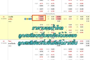 ราคาบอลน้ำไหล